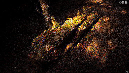 汗如雨崩，去追回2020被暂停的春天。-松赞林寺,香格里拉,哈巴雪山,雨崩村