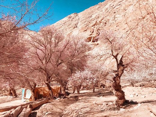 西部世界—帕米尔高原-慕士塔格峰,卡拉库里湖,天山,新疆