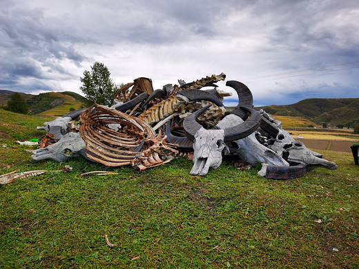 这是一场早该到来的川西之旅-新都桥,塔公,木格措,泸定桥,康定