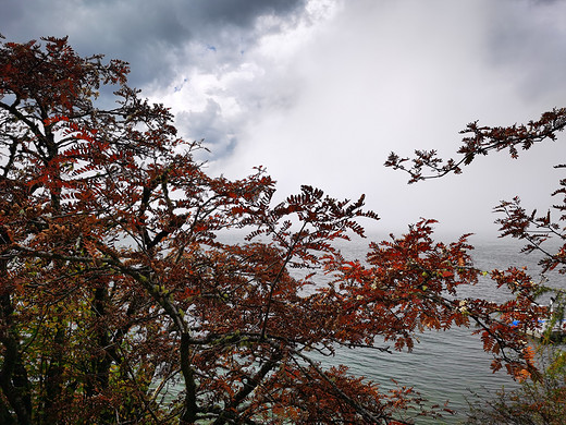 这是一场早该到来的川西之旅-新都桥,塔公,木格措,泸定桥,康定