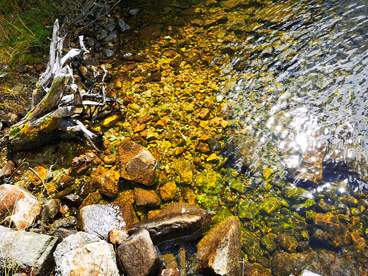这是一场早该到来的川西之旅-新都桥,塔公,木格措,泸定桥,康定