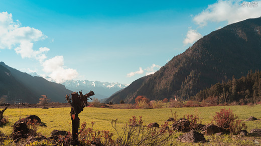 汗如雨崩，去追回2020被暂停的春天。-松赞林寺,香格里拉,哈巴雪山,雨崩村