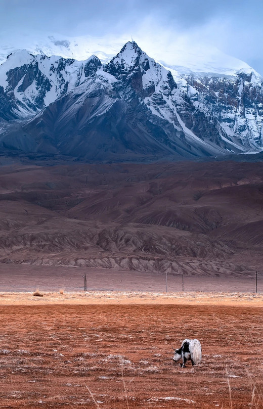 西部世界—帕米尔高原-慕士塔格峰,卡拉库里湖,天山,新疆