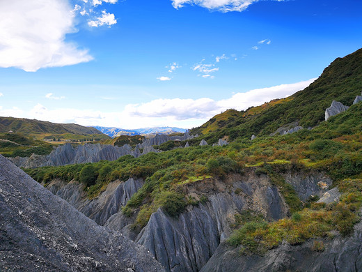 这是一场早该到来的川西之旅-新都桥,塔公,木格措,泸定桥,康定