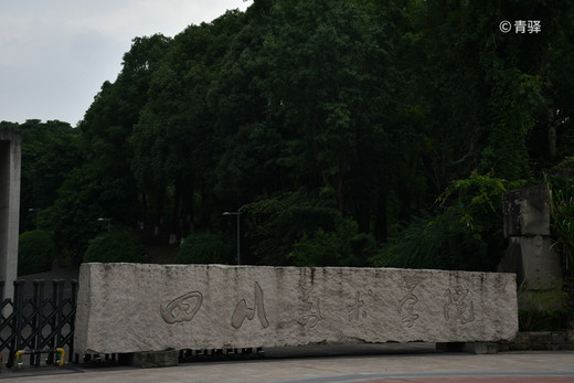 是山城也是不夜城的重庆，你好！-朝天门,洪崖洞,解放碑