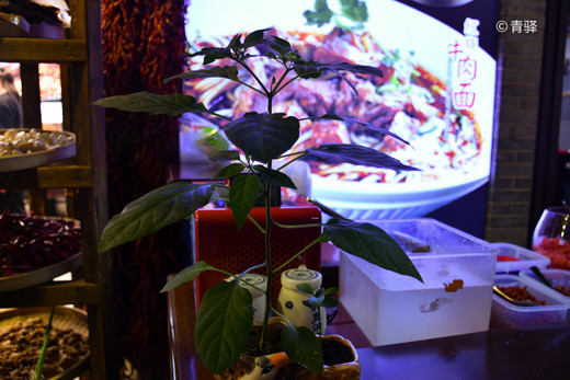 是山城也是不夜城的重庆，你好！-朝天门,洪崖洞,解放碑