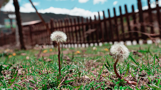 汗如雨崩，去追回2020被暂停的春天。-松赞林寺,香格里拉,哈巴雪山,雨崩村