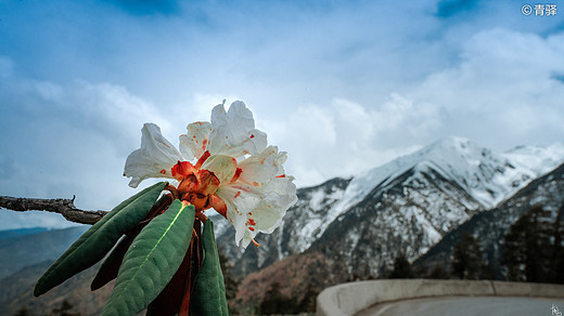 汗如雨崩，去追回2020被暂停的春天。-松赞林寺,香格里拉,哈巴雪山,雨崩村